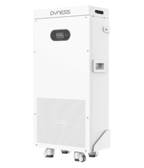 Dyness PowerBrick SC 16.07kWh 51.2V 314Ah Lithium Battery IP20